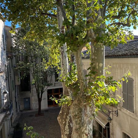 La Charmante Du Palais 2 Chambres Avignon Kültér fotó