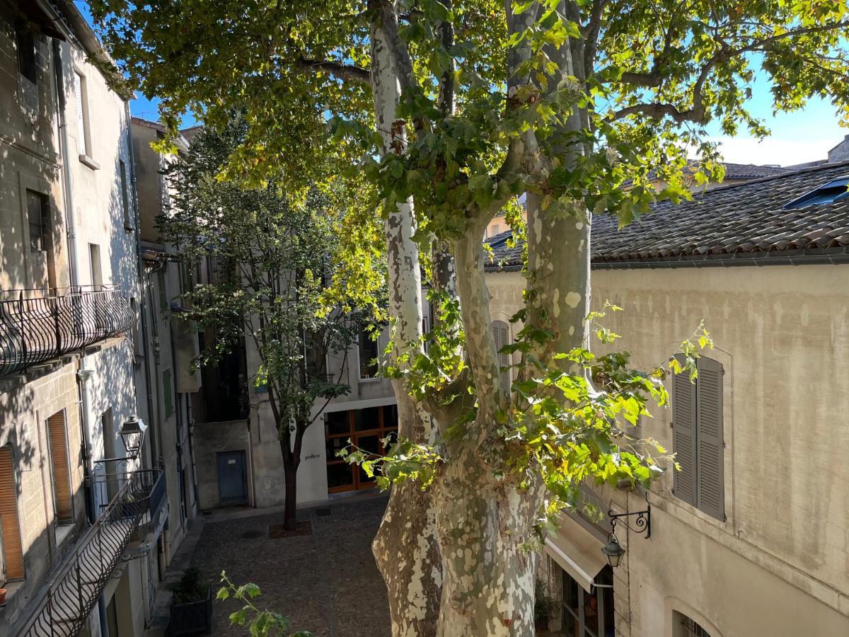 La Charmante Du Palais 2 Chambres Avignon Kültér fotó