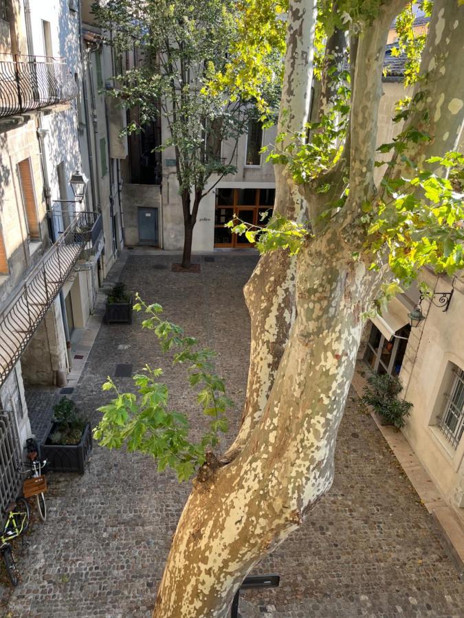 La Charmante Du Palais 2 Chambres Avignon Kültér fotó