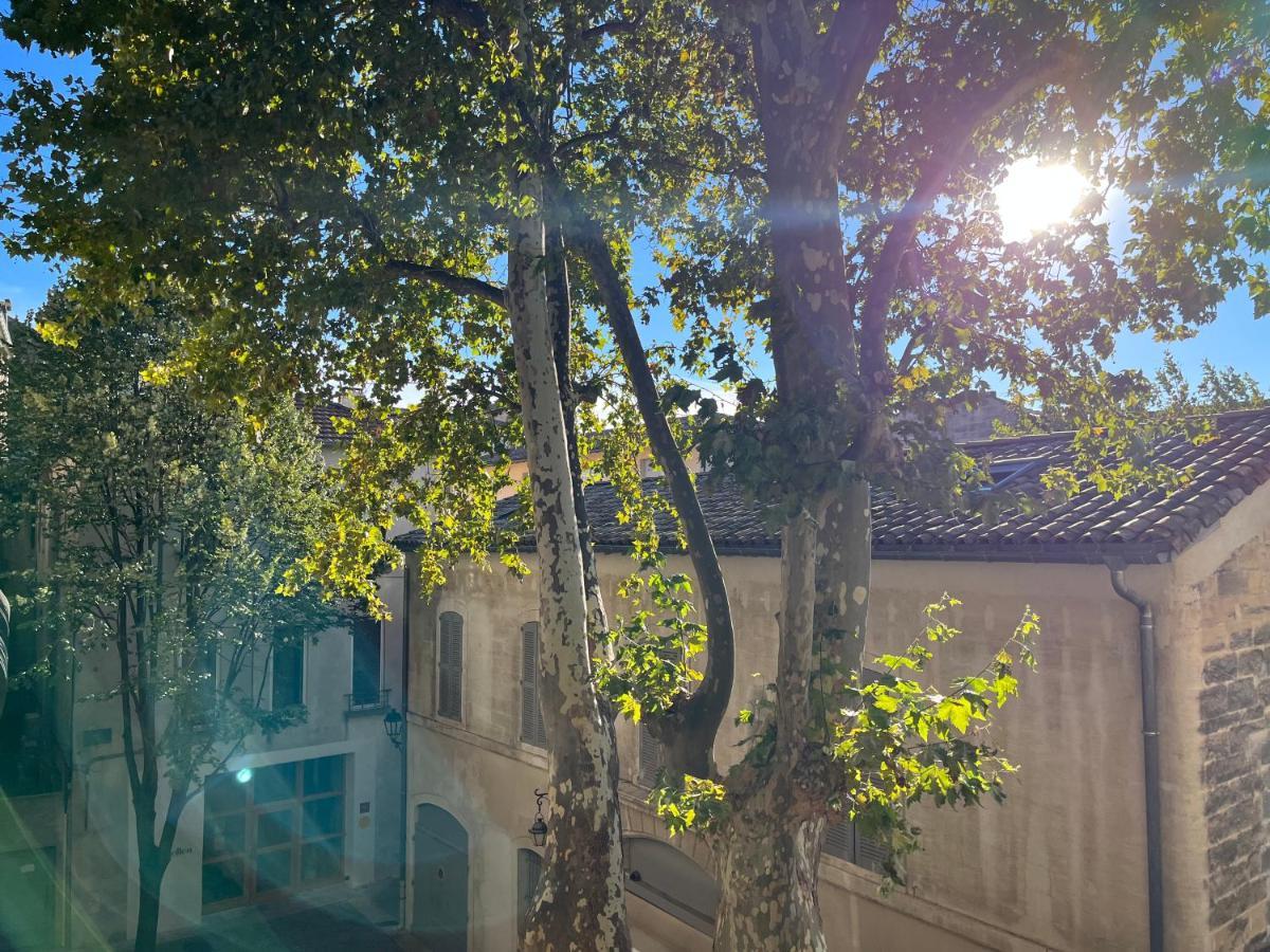 La Charmante Du Palais 2 Chambres Avignon Kültér fotó